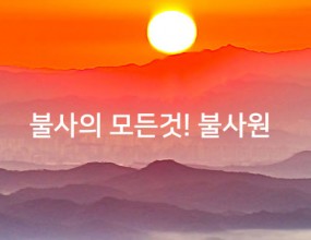 불사원 홈페이지 제작